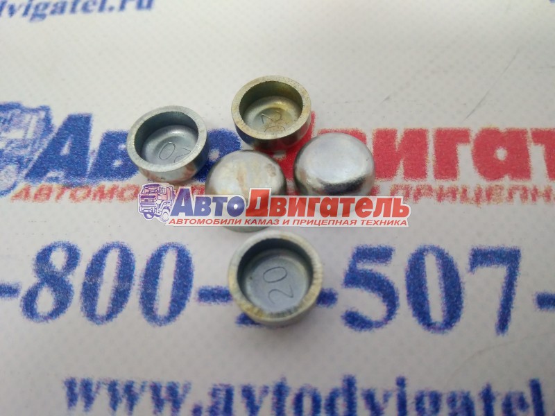 Пробка расширительная 3900955 Cummins ISBe, ISFe