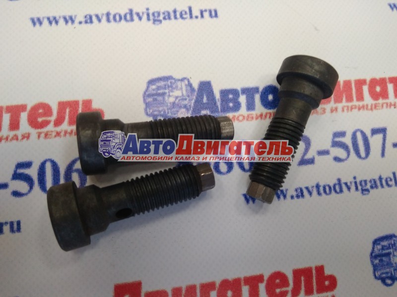 Клапан форсунки охлаждения поршня 7405-1004066 евро (ПАО КАМАЗ)