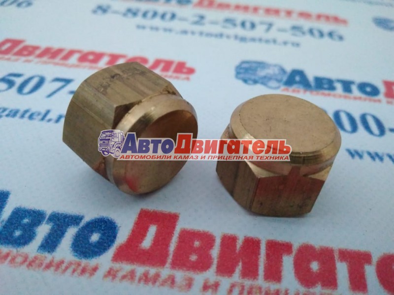 Гайка М12*1,25, 870502 водяного насоса глухая КАМАЗ БелЗАН