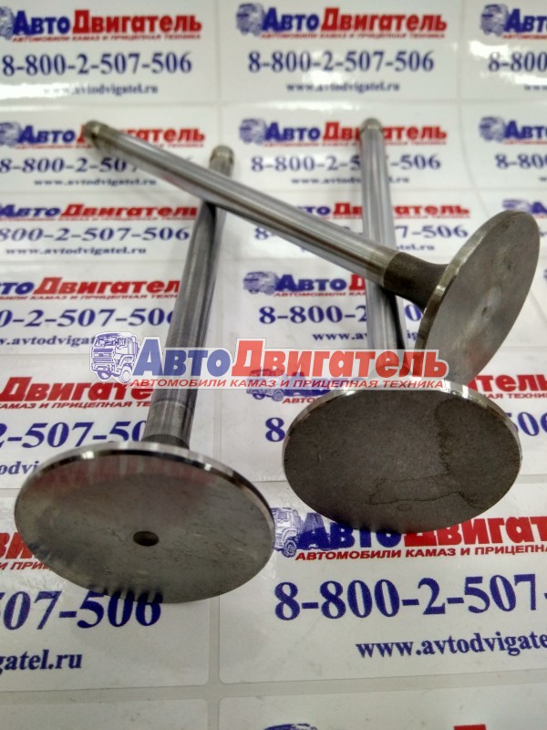 Клапан впускной 3901117, 3920857, 4995554 Cummins 4-6 ВТ
